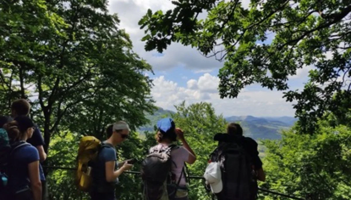 Wandergruppe genießt die Aussicht von einer Plattform im Wald. | © DAV Dortmund