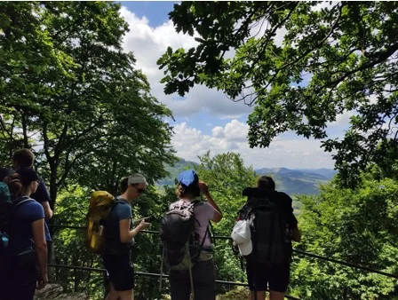 Wandergruppe genießt die Aussicht von einer Plattform im Wald. | © DAV Dortmund