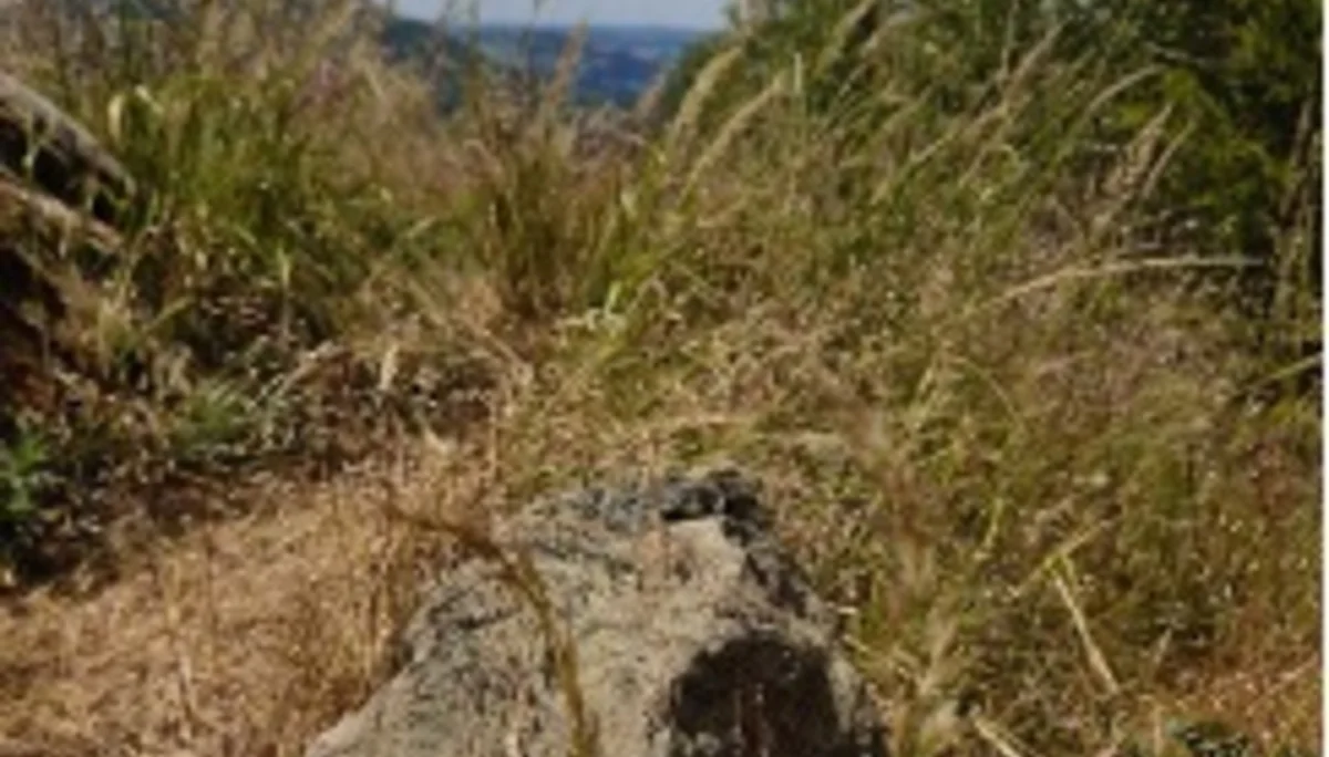 Ein markierter Stein mit rotem Hintergrund und weißem Symbol zeigt den Wanderwegverlauf in einer trockenen Landschaft. | © DAV Dortmund