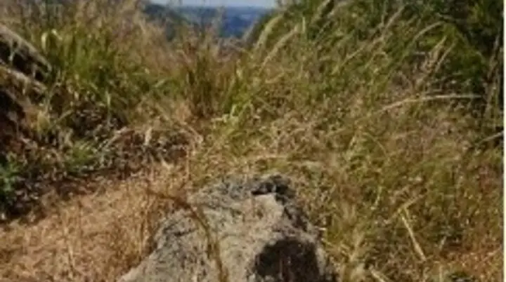 Ein markierter Stein mit rotem Hintergrund und weißem Symbol zeigt den Wanderwegverlauf in einer trockenen Landschaft. | © DAV Dortmund