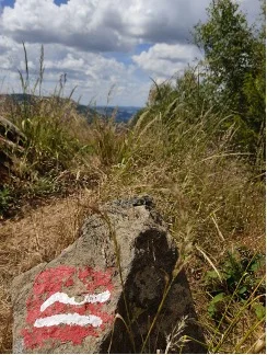 Ein markierter Stein mit rotem Hintergrund und weißem Symbol zeigt den Wanderwegverlauf in einer trockenen Landschaft. | © DAV Dortmund