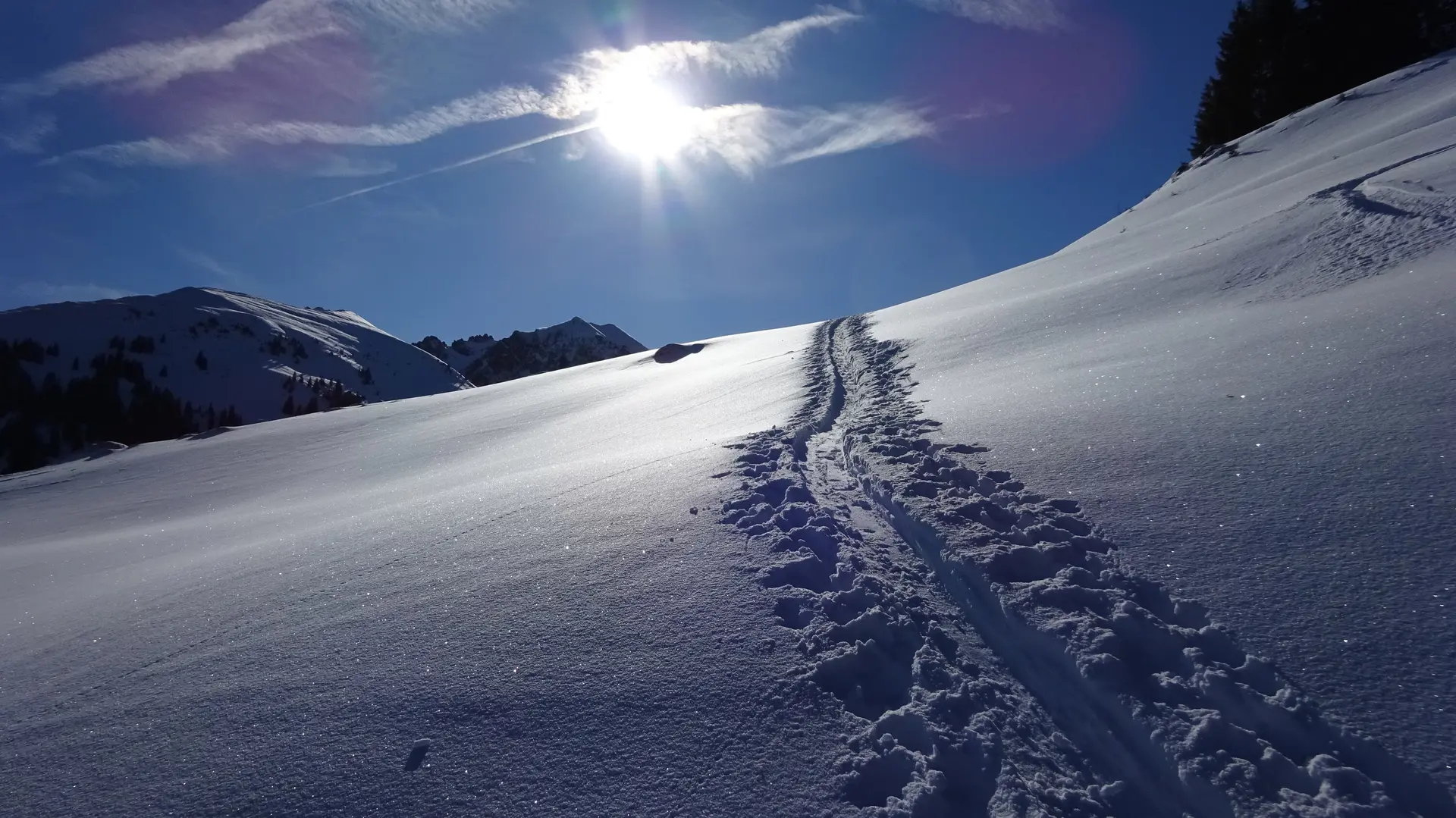 Eine einzelne Skispur führt durch frischen Pulverschnee bei klarem Himmel und Sonne. | © DAV Dortmund