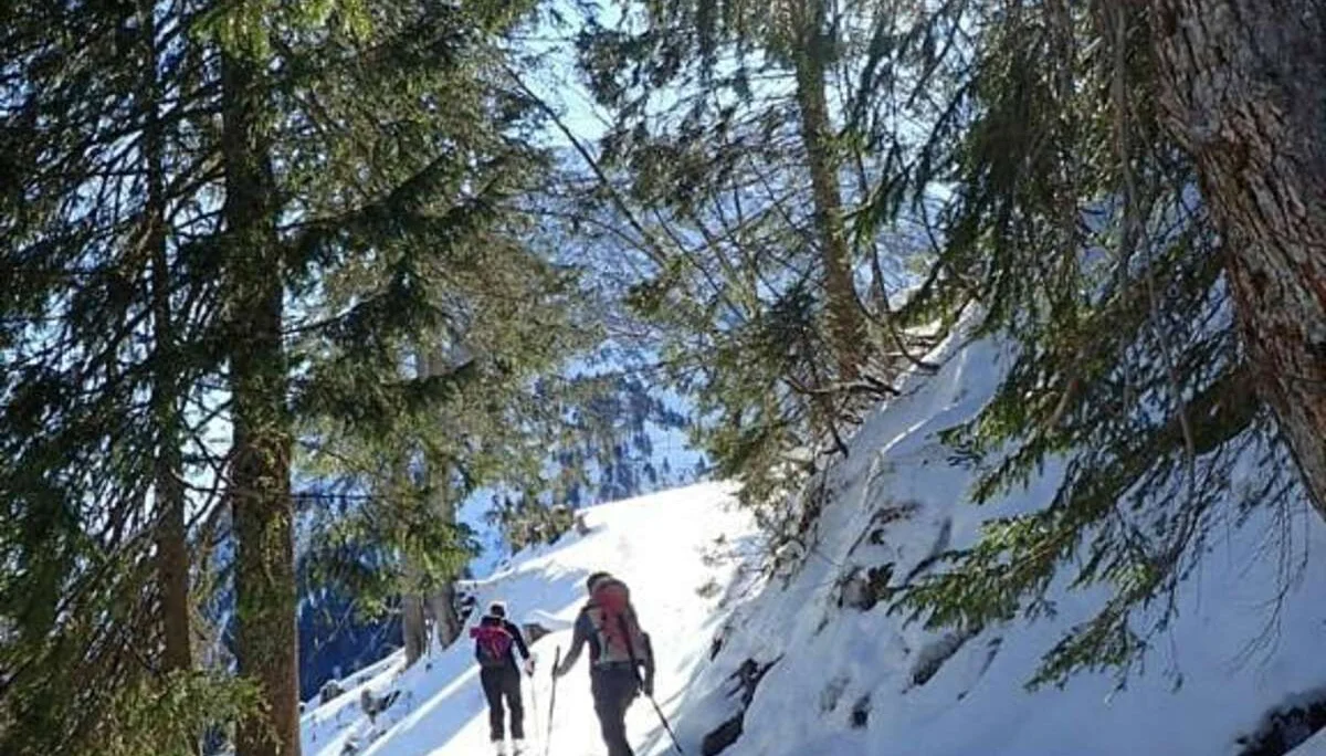 Zwei Skitourengeher*innen steigen durch verschneiten Nadelwald bei Sonnenlicht auf. | © DAV Dortmund
