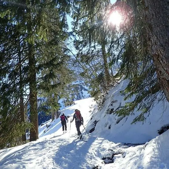 Zwei Skitourengeher*innen steigen durch verschneiten Nadelwald bei Sonnenlicht auf. | © DAV Dortmund