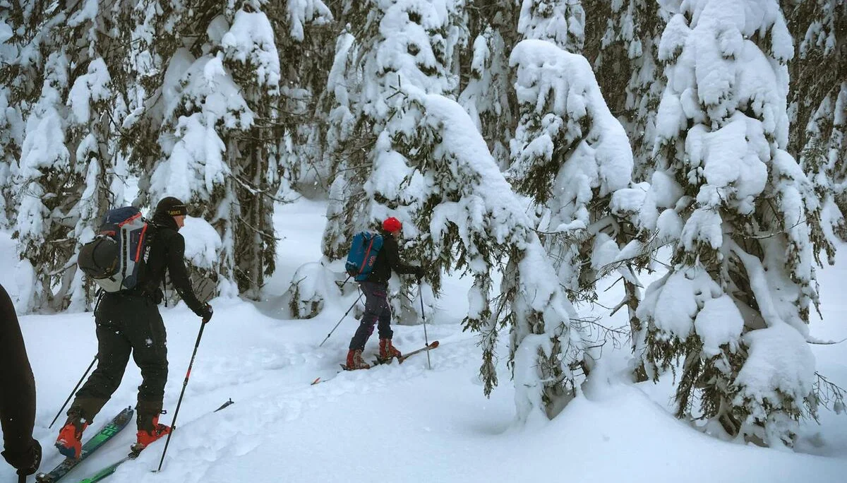 Zwei Personen mit Schneeschuhen gehen durch einen verschneiten Nadelwald. | © Dav Dortmund