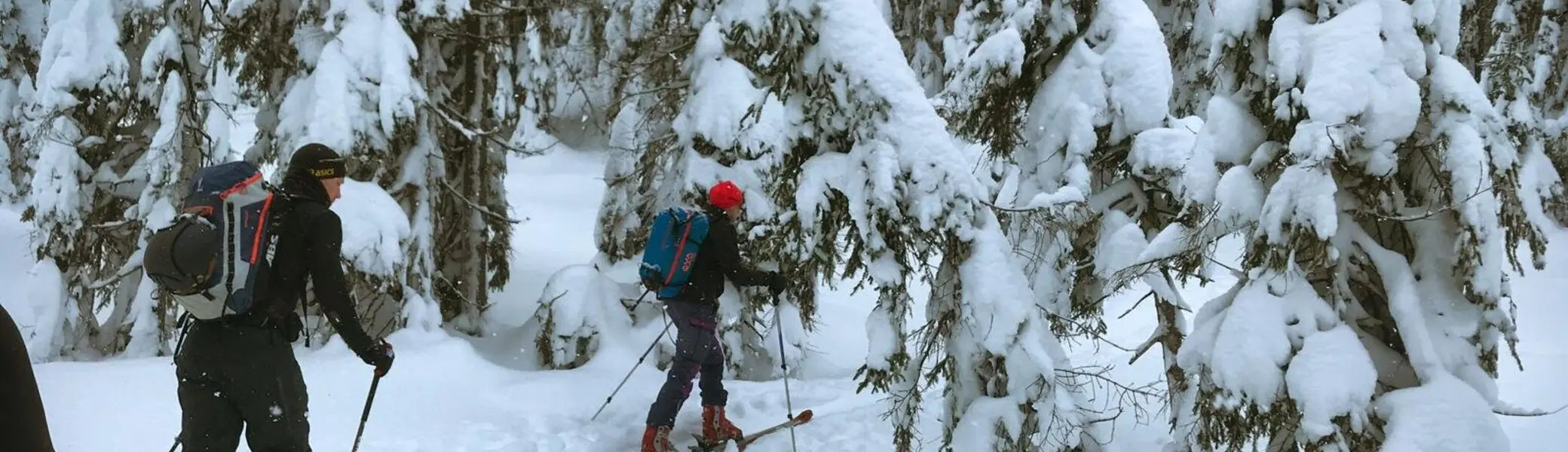 Zwei Personen mit Schneeschuhen gehen durch einen verschneiten Nadelwald. | © Dav Dortmund