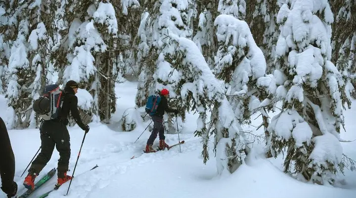 Zwei Personen mit Schneeschuhen gehen durch einen verschneiten Nadelwald. | © Dav Dortmund