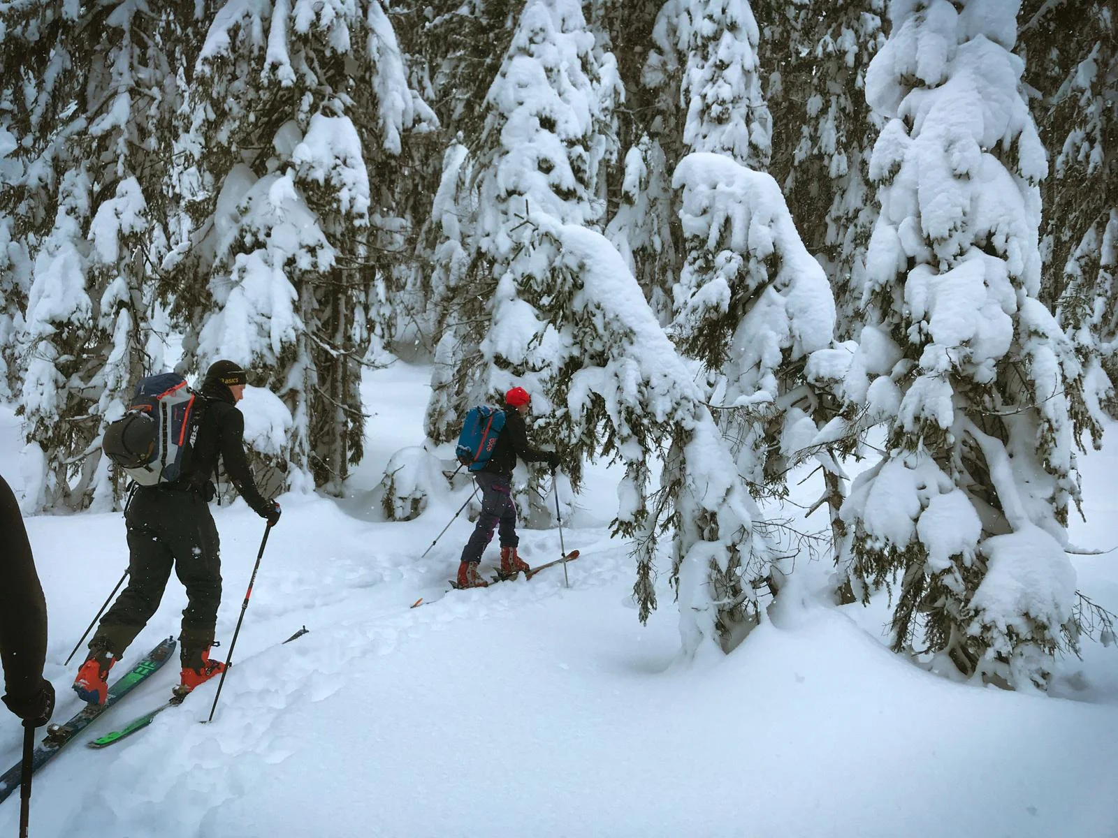 Zwei Personen mit Schneeschuhen gehen durch einen verschneiten Nadelwald. | © Dav Dortmund