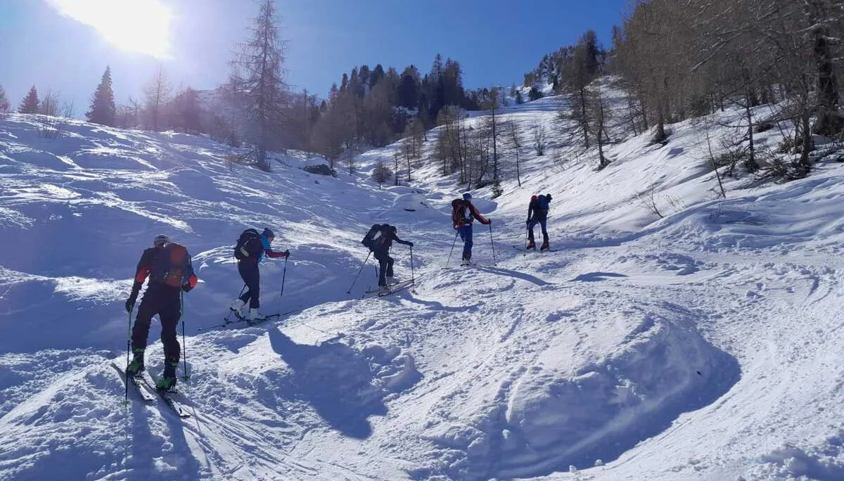 Gruppe fährt auf Skiern durch unberührten Tiefschnee in einem sonnigen Hang. | © DAV Dortmund