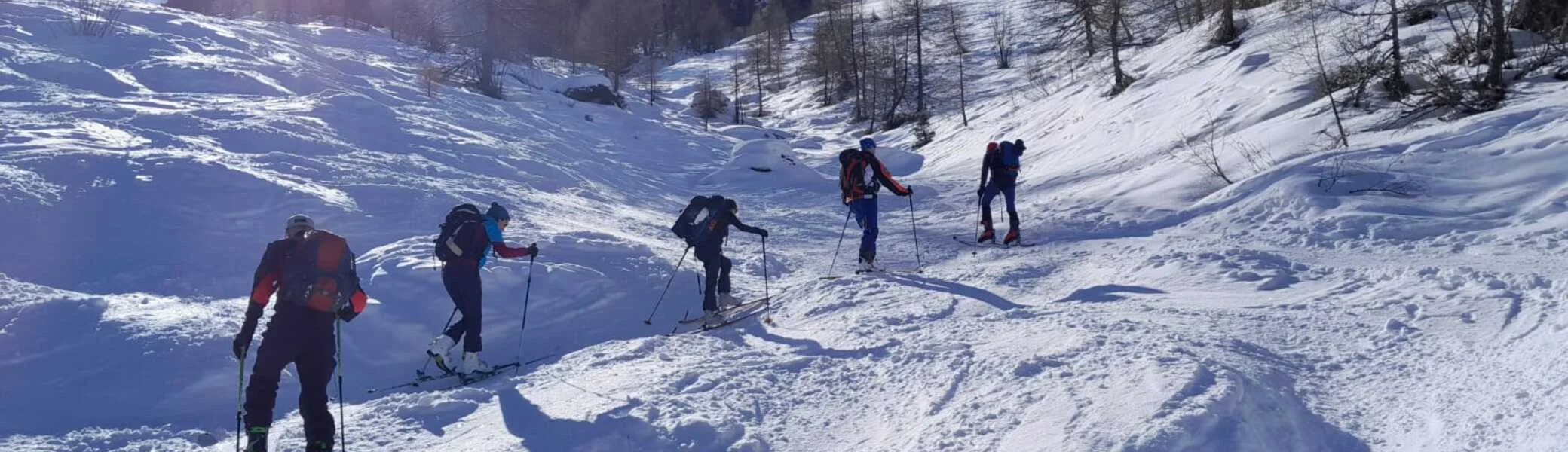 Gruppe fährt auf Skiern durch unberührten Tiefschnee in einem sonnigen Hang. | © DAV Dortmund