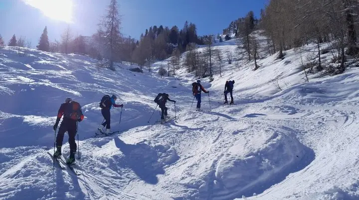 Gruppe fährt auf Skiern durch unberührten Tiefschnee in einem sonnigen Hang. | © DAV Dortmund