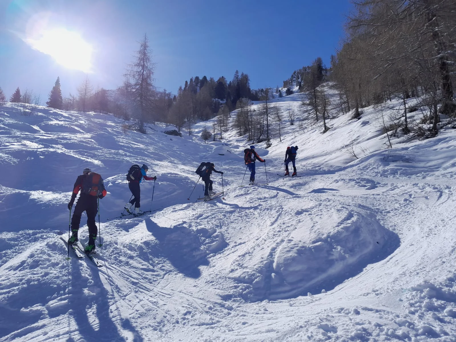 Gruppe fährt auf Skiern durch unberührten Tiefschnee in einem sonnigen Hang. | © DAV Dortmund