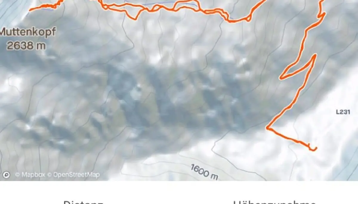 Screenshot einer Skitour mit Strecke, Höhenprofil und Leistungsdaten auf einem Mobilgerät. | © DAV Dortmund