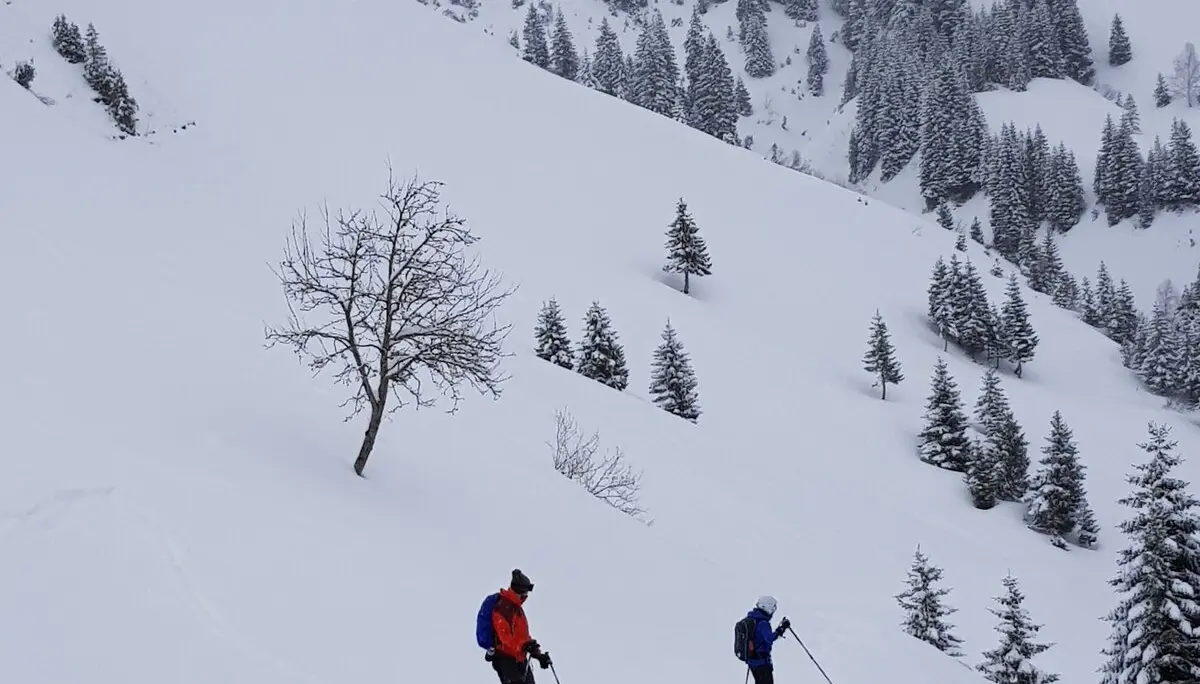 Zwei Personen steigen mit Tourenski einen bewaldeten Hang im Tiefschnee hinauf. | © DAV Dortmund