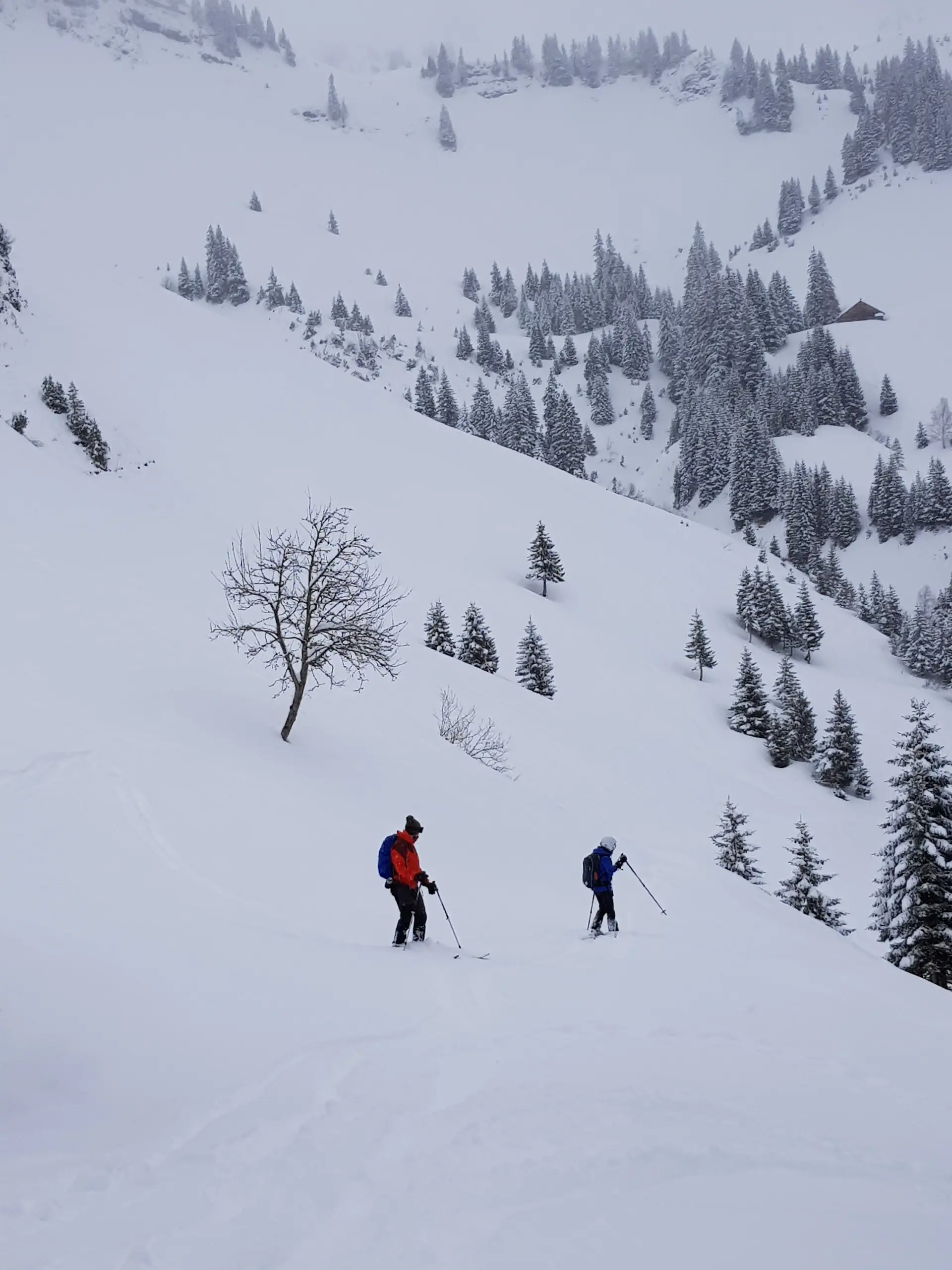 Zwei Personen steigen mit Tourenski einen bewaldeten Hang im Tiefschnee hinauf. | © DAV Dortmund