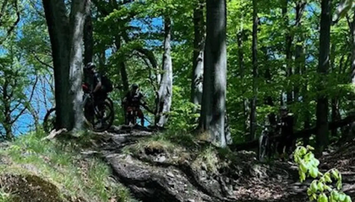 Mehrere Personen mit Fahrrädern stehen im Schatten hoher Laubbäume auf einem wurzelreichen Waldweg. | © DAV Dortmund