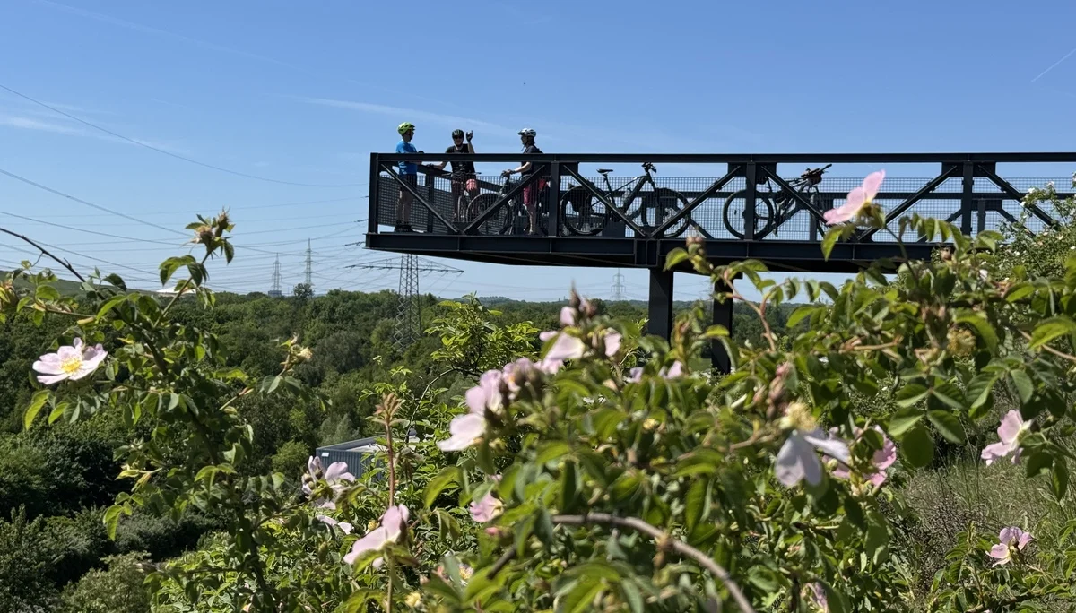 Gruppe mit Fahrrädern steht auf einer Plattform über einer blühenden Wildrosenhecke. | © DAV Dortmund