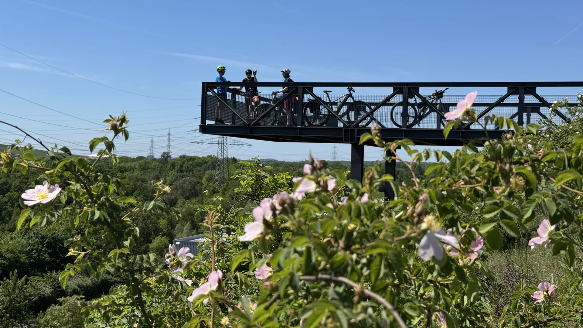 Gruppe mit Fahrrädern steht auf einer Plattform über einer blühenden Wildrosenhecke. | © DAV Dortmund