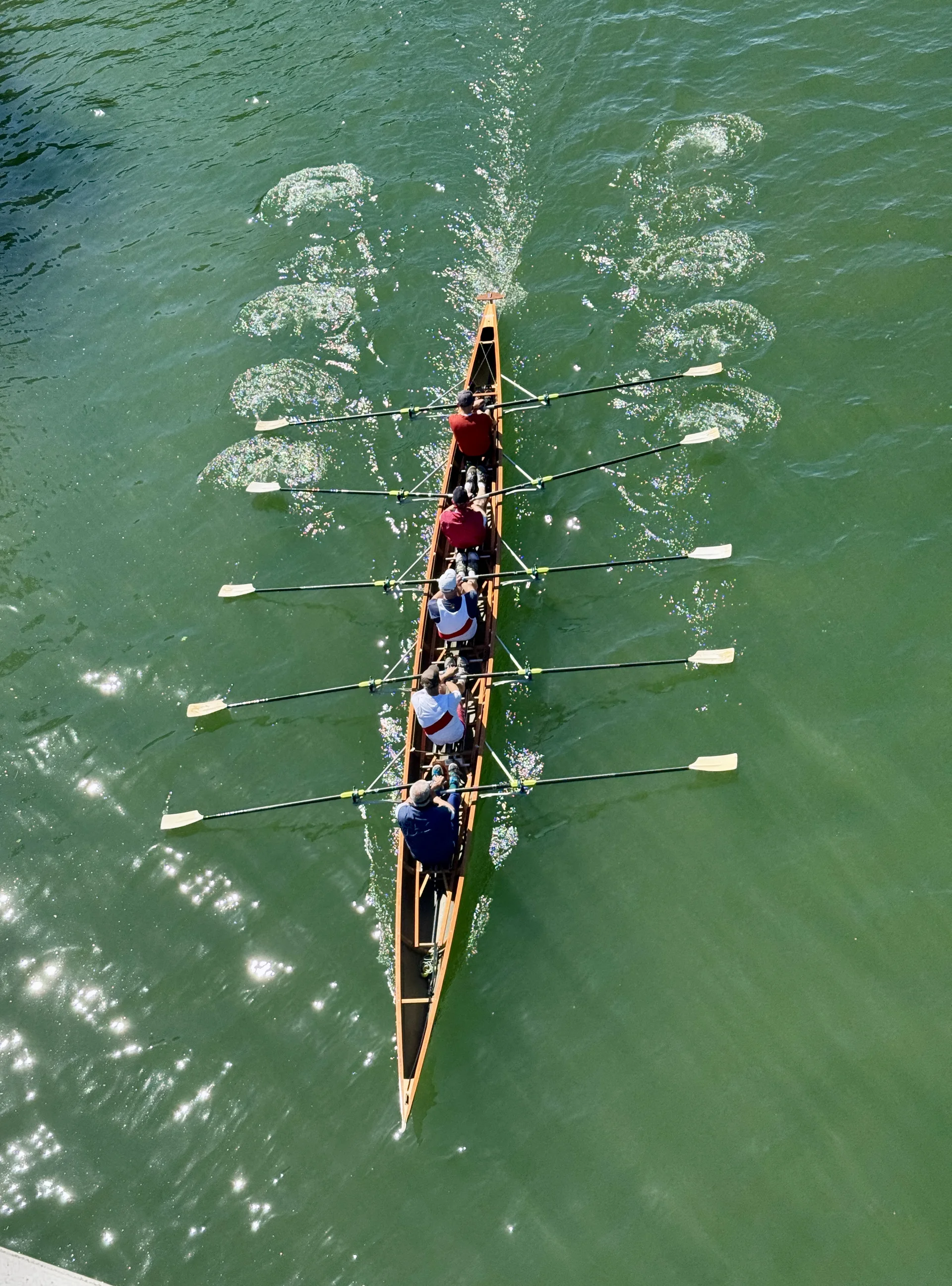 Sechs Personen rudern gemeinsam in einem schmalen Ruderboot auf grünem Wasser. | © DAV Dortmund