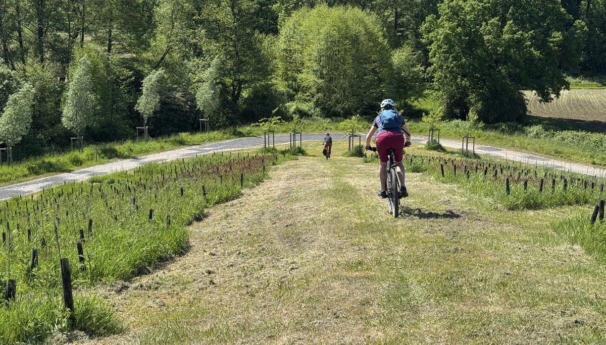 Person fährt auf einem schmalen Wiesenweg durch eine junge Pflanzung Richtung Straße. | © DAV Dortmund