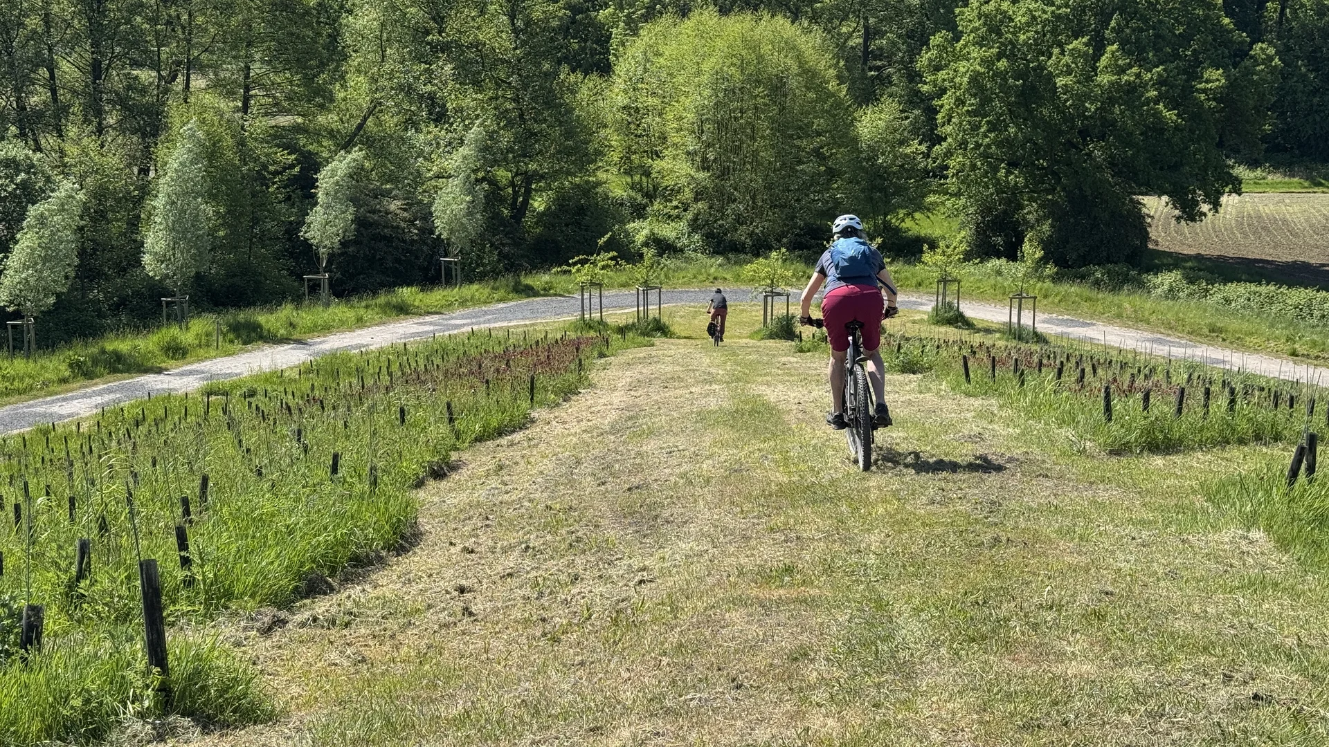 Person fährt auf einem schmalen Wiesenweg durch eine junge Pflanzung Richtung Straße. | © DAV Dortmund