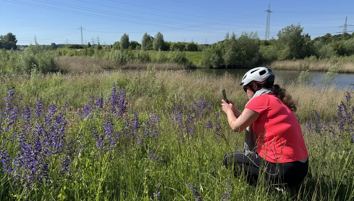 Frau mit Fahrradhelm kniet vor lila Wildblumen und fotografiert sie am Gewässerrand. | © DAV Dortmund