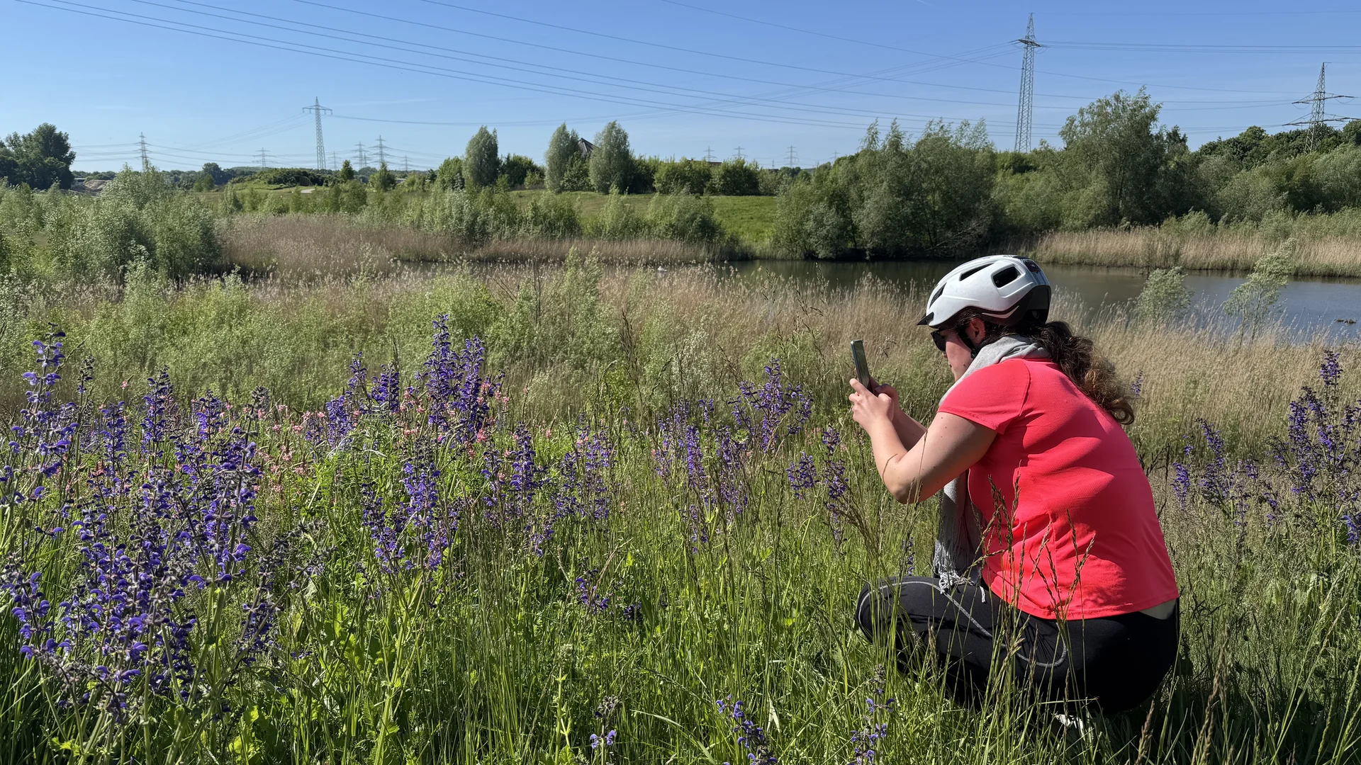 Frau mit Fahrradhelm kniet vor lila Wildblumen und fotografiert sie am Gewässerrand. | © DAV Dortmund