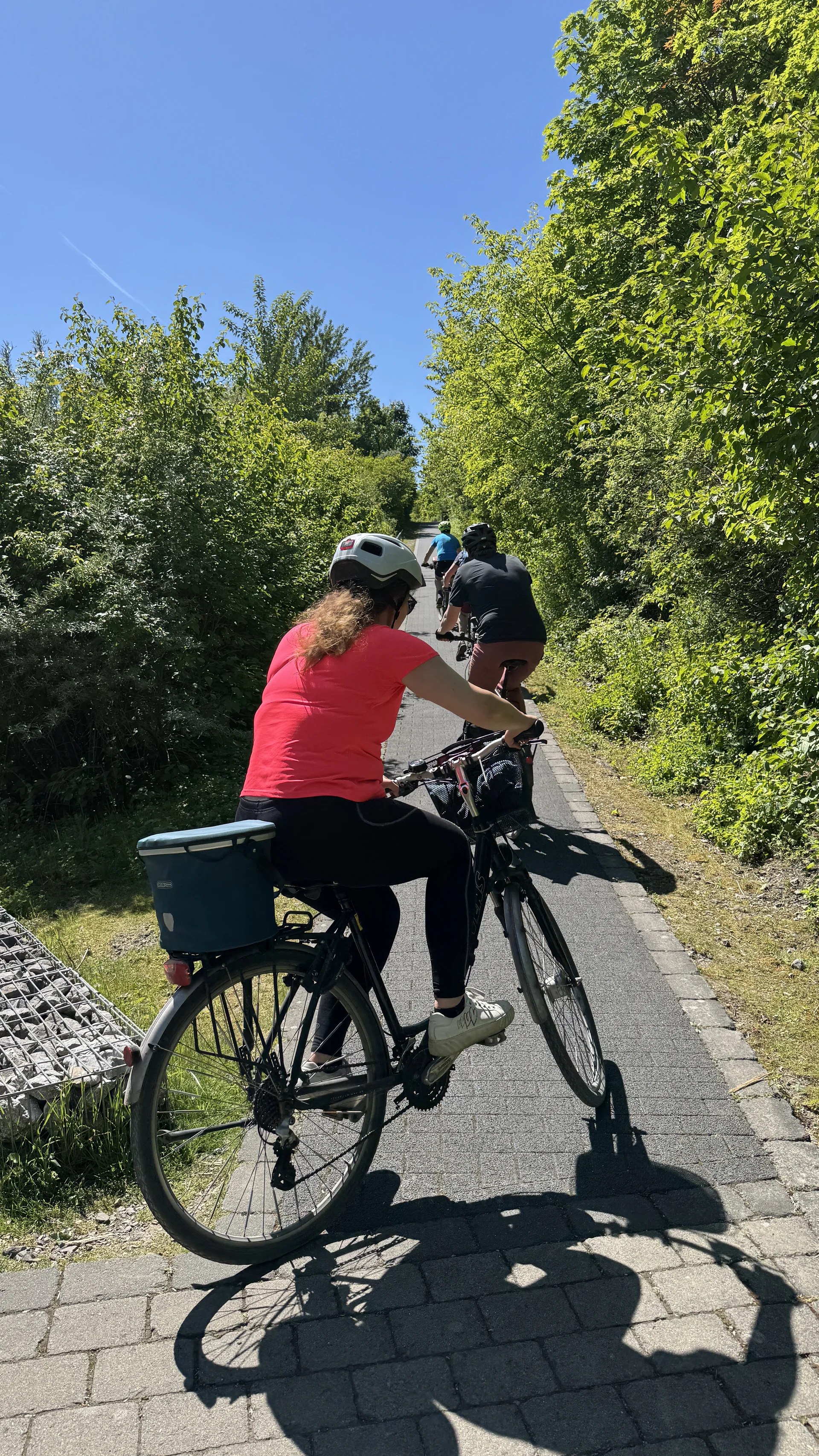 Radfahrer*innen fahren auf einem schmalen, leicht ansteigenden Weg durch grüne Vegetation. | © DAV Dortmund