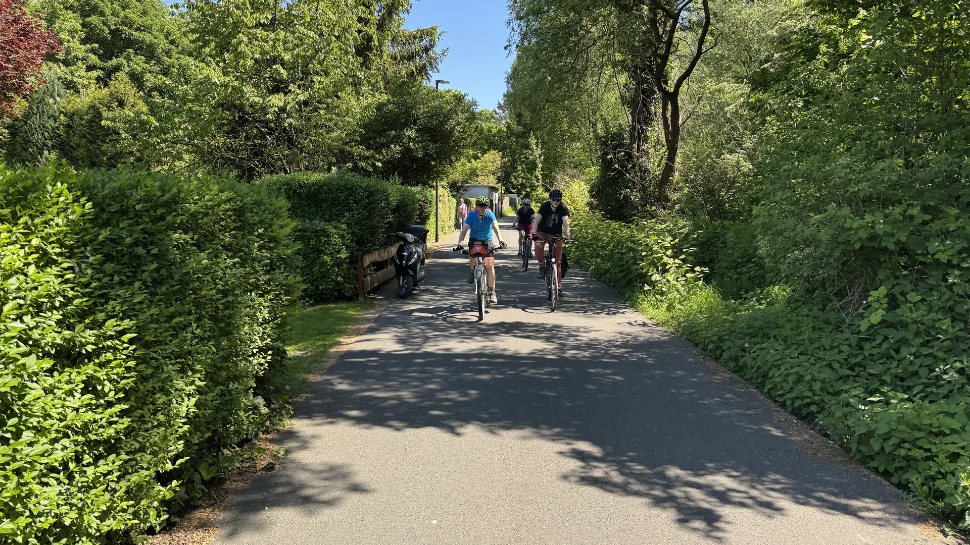 Gruppe fährt mit Fahrrädern auf einem asphaltierten Weg zwischen Hecken und Bäumen. | © DAV Dortmund