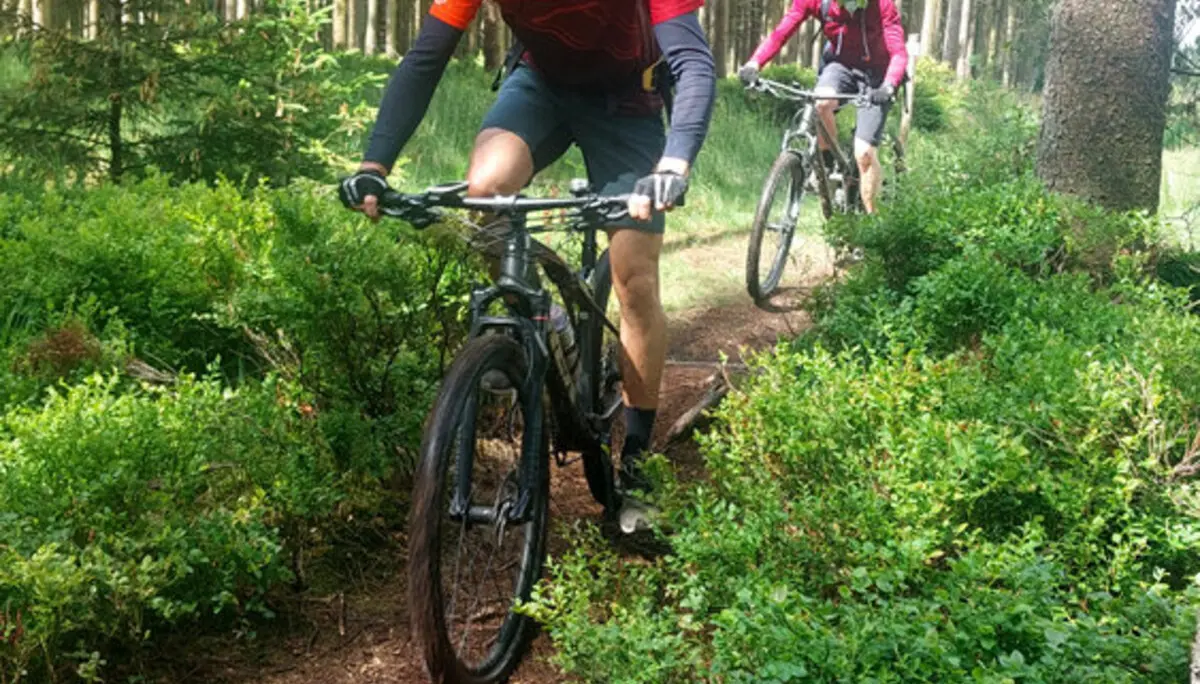 Zwei Mountainbiker fahren auf einem schmalen Pfad durch dichten Nadelwald. Der vordere Fahrer trägt einen gelben Helm. | © DAV Dortmund