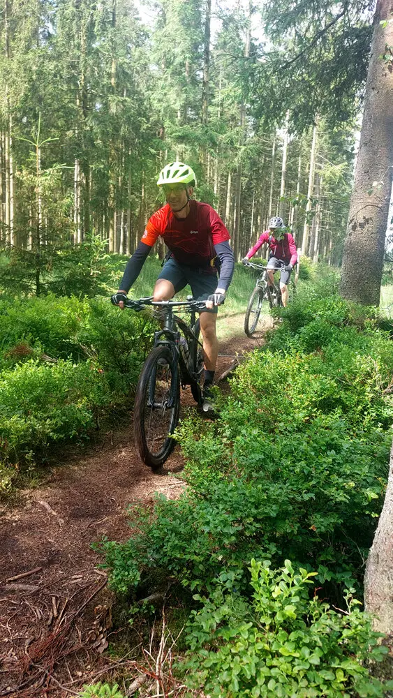 Zwei Mountainbiker fahren auf einem schmalen Pfad durch dichten Nadelwald. Der vordere Fahrer trägt einen gelben Helm. | © DAV Dortmund