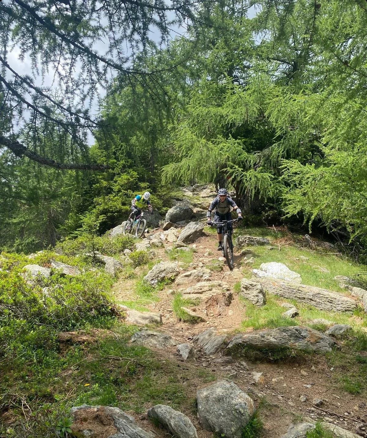 Zwei Mountainbiker fahren auf einem felsigen Singletrail im Wald bergauf. | © DAV Dortmund