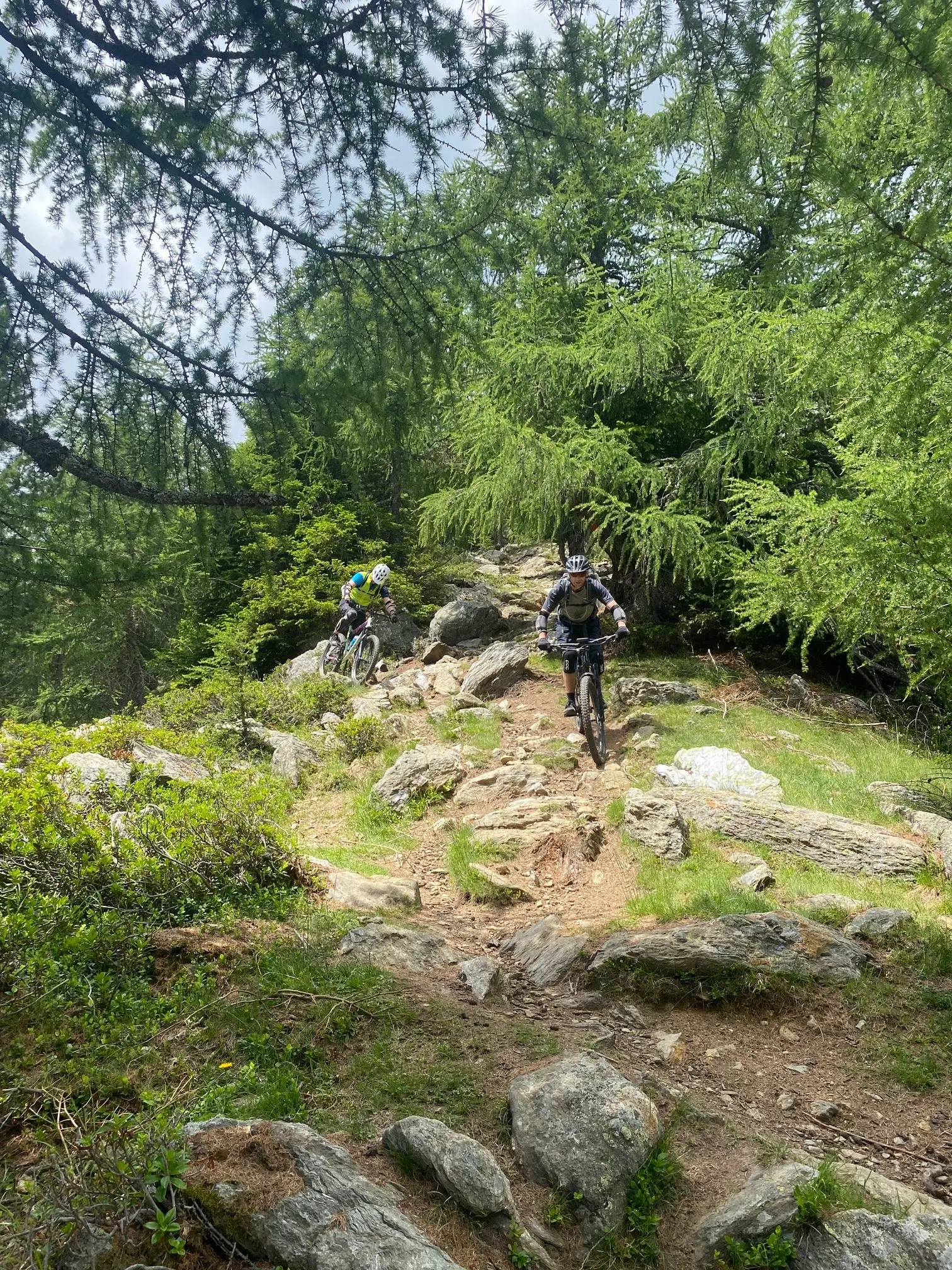 Zwei Mountainbiker fahren auf einem felsigen Singletrail im Wald bergauf. | © DAV Dortmund