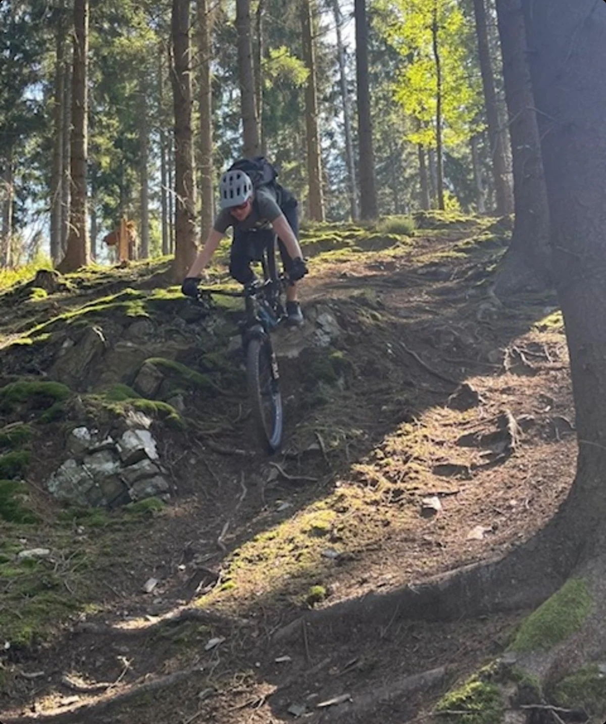 Ein Mountainbiker fährt vorsichtig einen steilen und wurzelreichen Waldpfad hinunter. | © DAV Dortmund