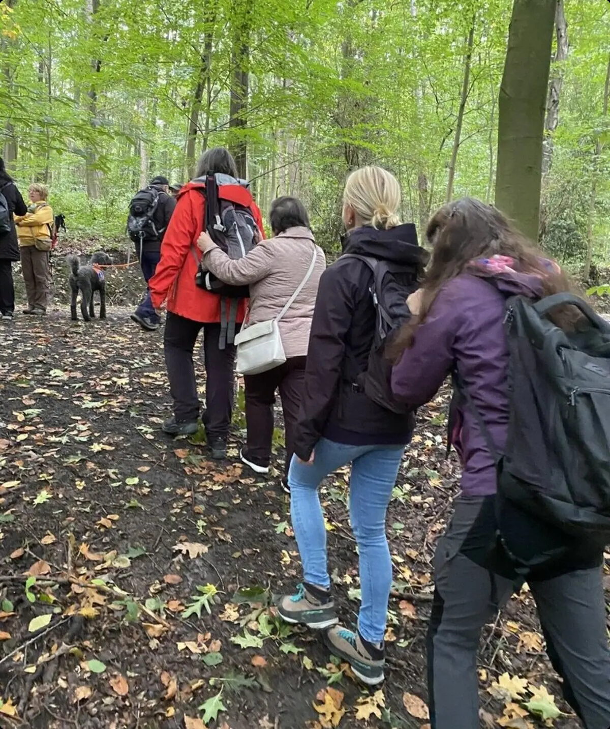 Menschen wandern in einer Linie durch den Wald. Sie halten sich an den Schultern der vorderen Person fest zur Orientierung. | © DAV Dortmund