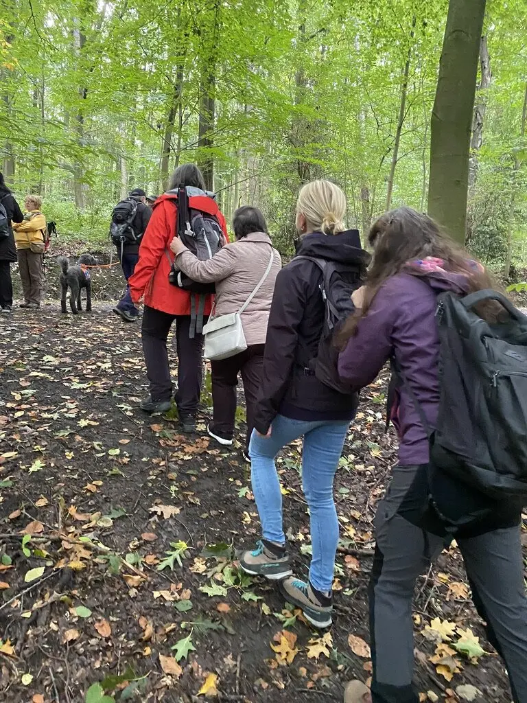 Menschen wandern in einer Linie durch den Wald. Sie halten sich an den Schultern der vorderen Person fest zur Orientierung. | © DAV Dortmund