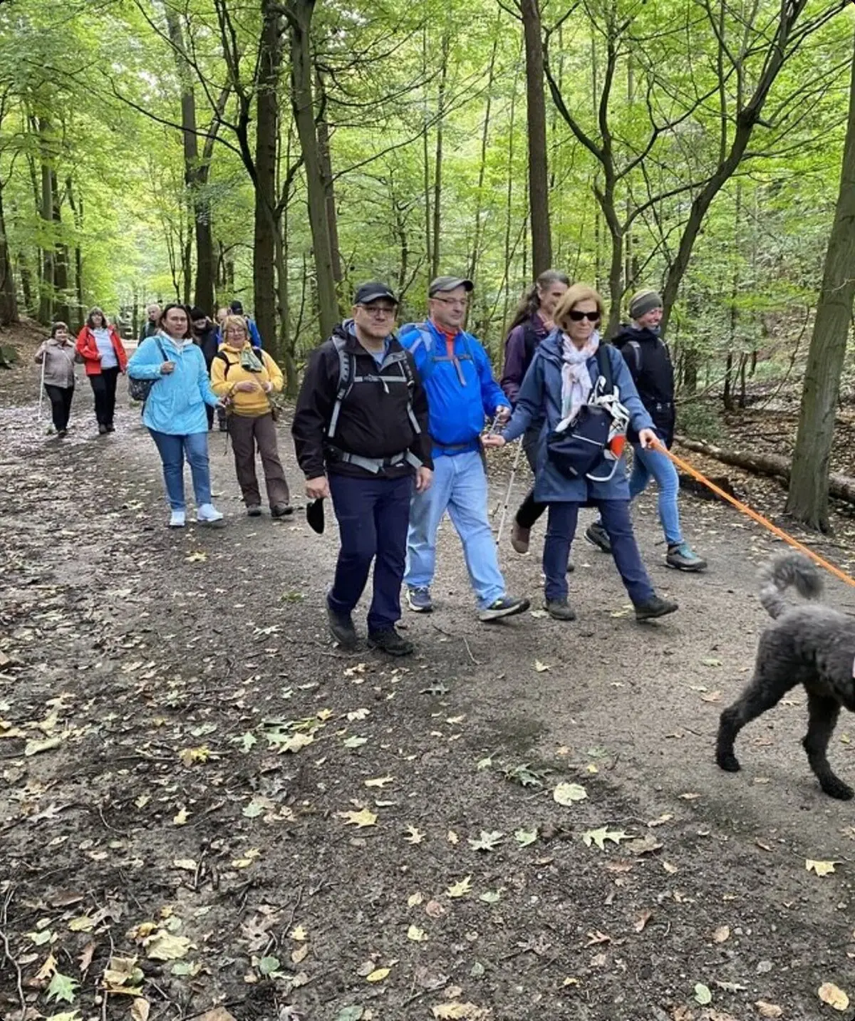 Eine Wandergruppe wird von einem Blindenführhund mit orangefarbener Weste auf einem Waldweg begleitet. | © DAV Dortmund