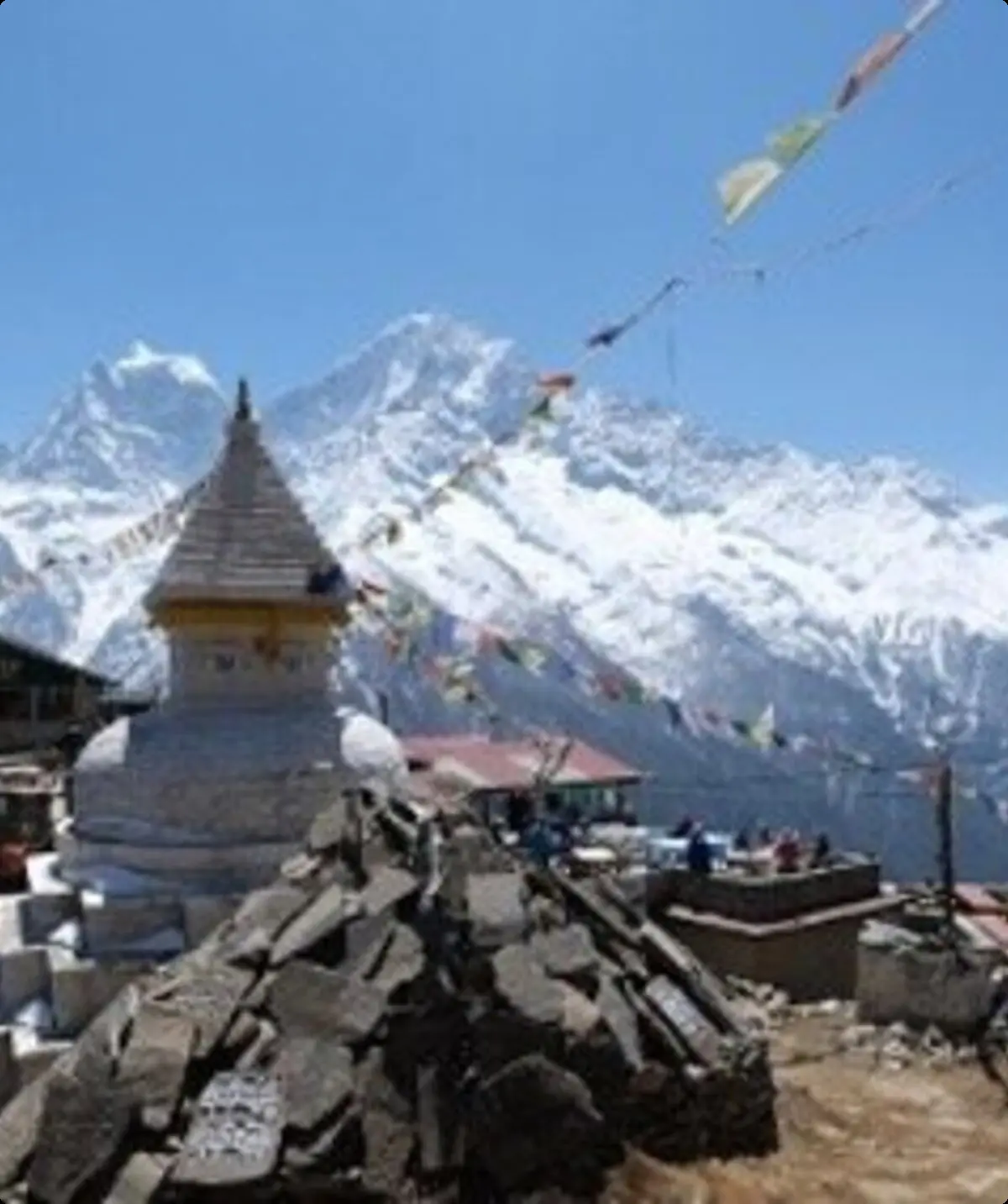 Ein weißer Stupa mit goldener Spitze steht im Vordergrund, dahinter Häuser, Gebetsfahnen und die schneebedeckten Gipfel des Himalaya | © DAV Dortmund