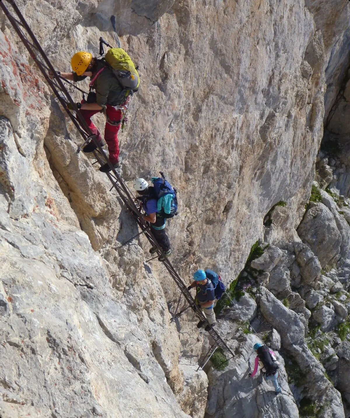 Mehrere Personen klettern mit Helm und Klettersteigset eine senkrechte Felswand hinauf. | © DAV Dortmund