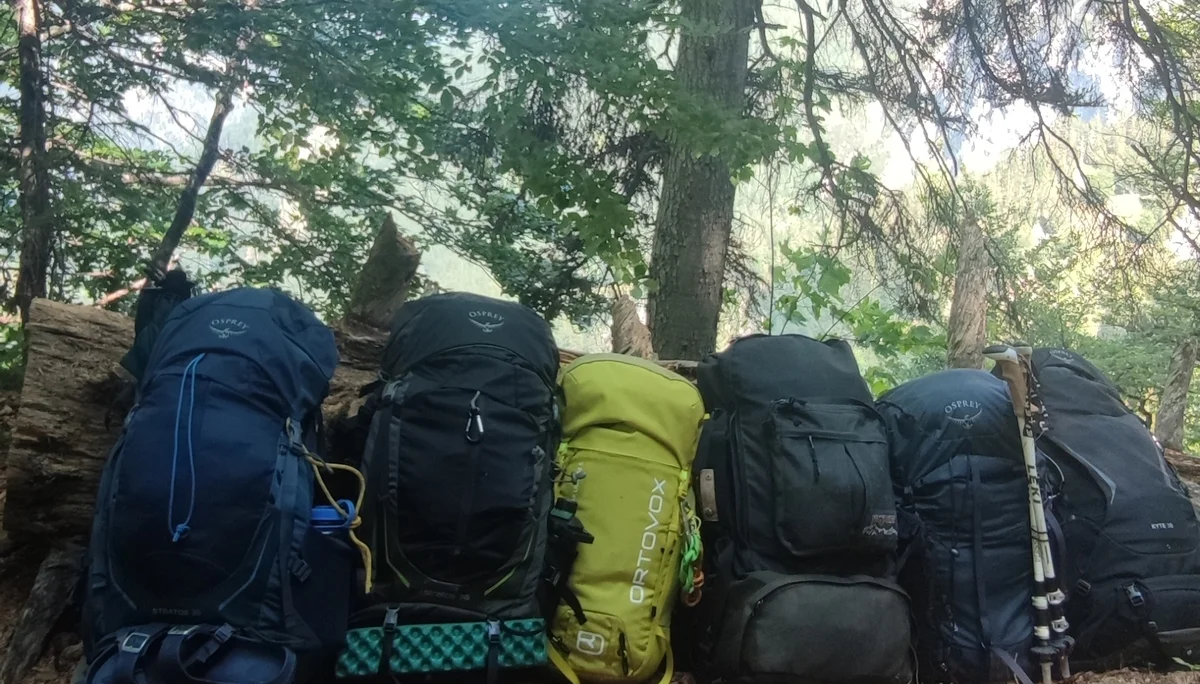 Rucksäcke im Wald | © DAV Dortmund Nicole Düfel