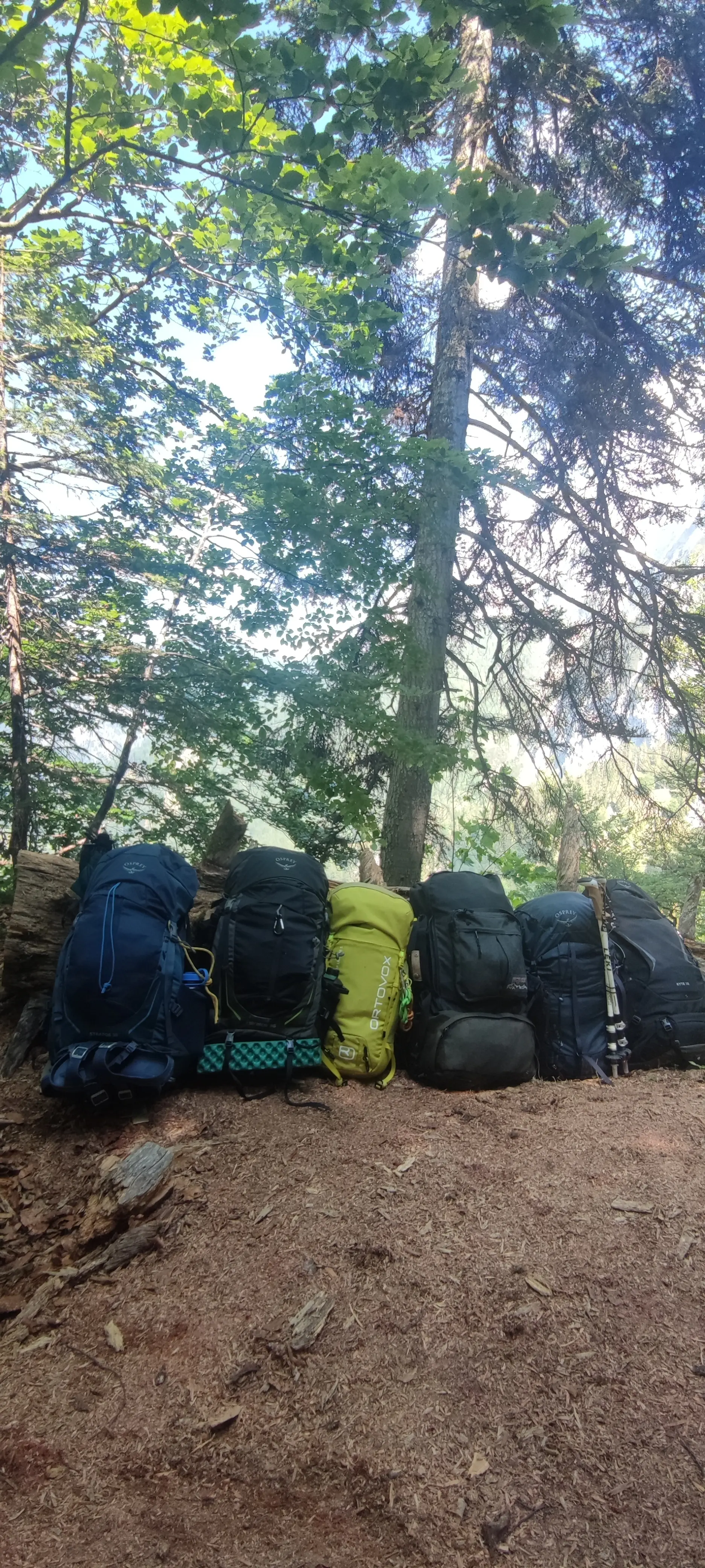 Rucksäcke im Wald | © DAV Dortmund Nicole Düfel