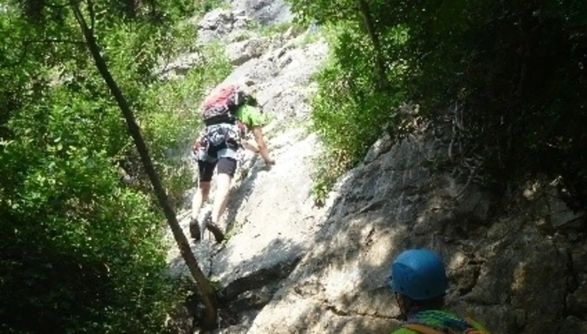 Kletterer im Wald | © DAV Dortmund