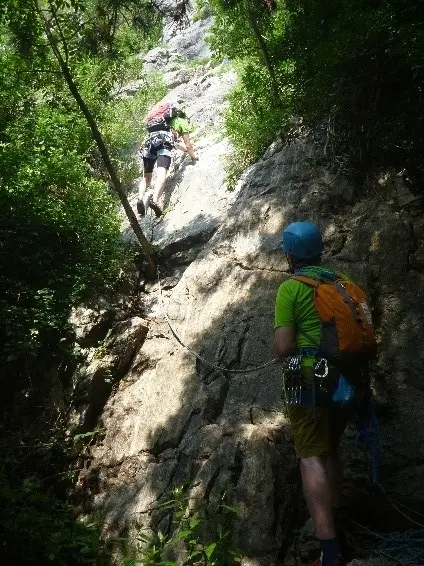 Kletterer im Wald | © DAV Dortmund