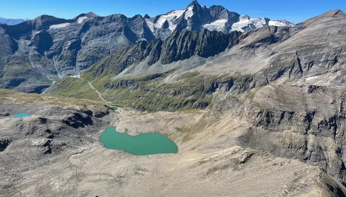 Alpenpanorama über der Baumgrenze | © DAV Dortmund