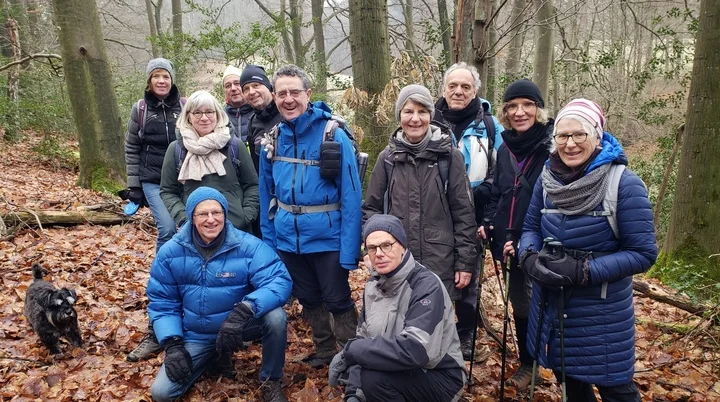 11 Wanderer:innen im Wald, Bäume ohne Blätter | © DAV Dortmund