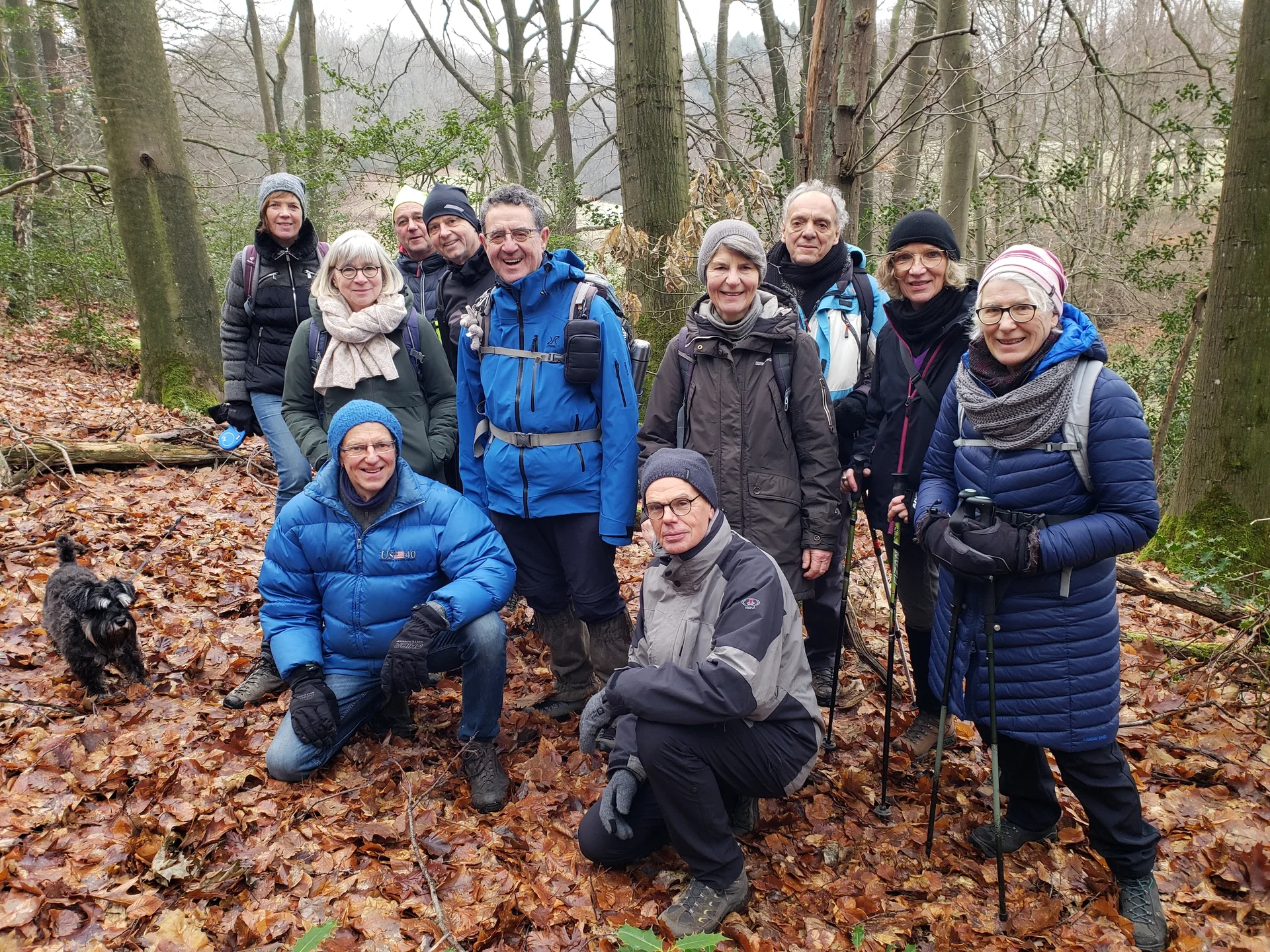 11 Wanderer:innen im Wald, Bäume ohne Blätter | © DAV Dortmund