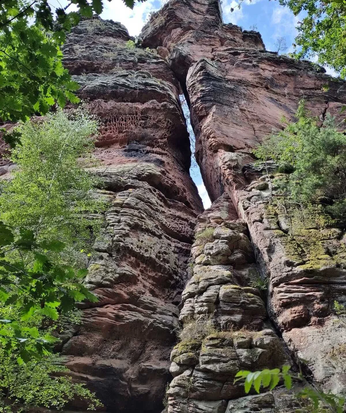 Ein imposanter, steiler Sandsteinfelsen mit Spalt in der Mitte, umgeben von Bäumen. | © DAV Dortmund