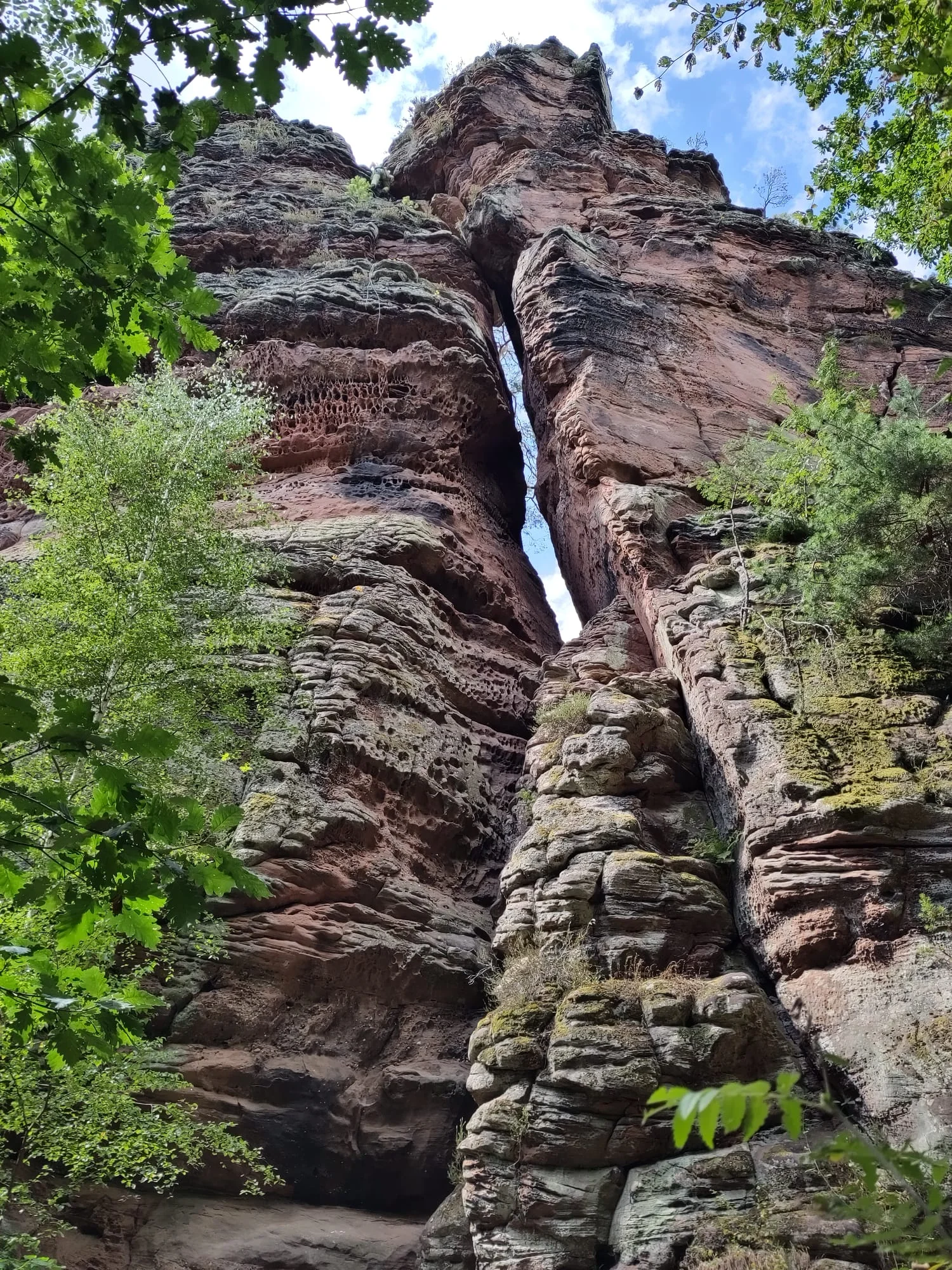 Ein imposanter, steiler Sandsteinfelsen mit Spalt in der Mitte, umgeben von Bäumen. | © DAV Dortmund