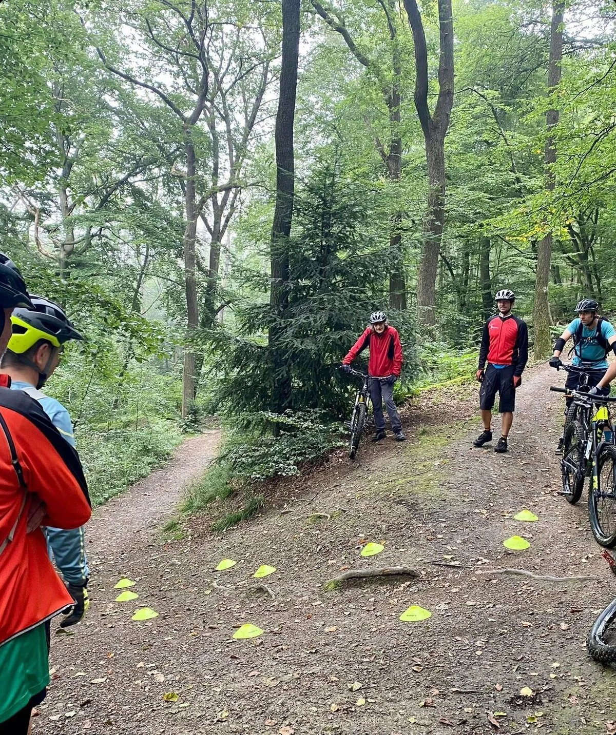 Mehrere Personen mit Mountainbikes bei einem Übungstraining auf einem Waldweg mit Markierungshütchen. | © DAV Dortmund