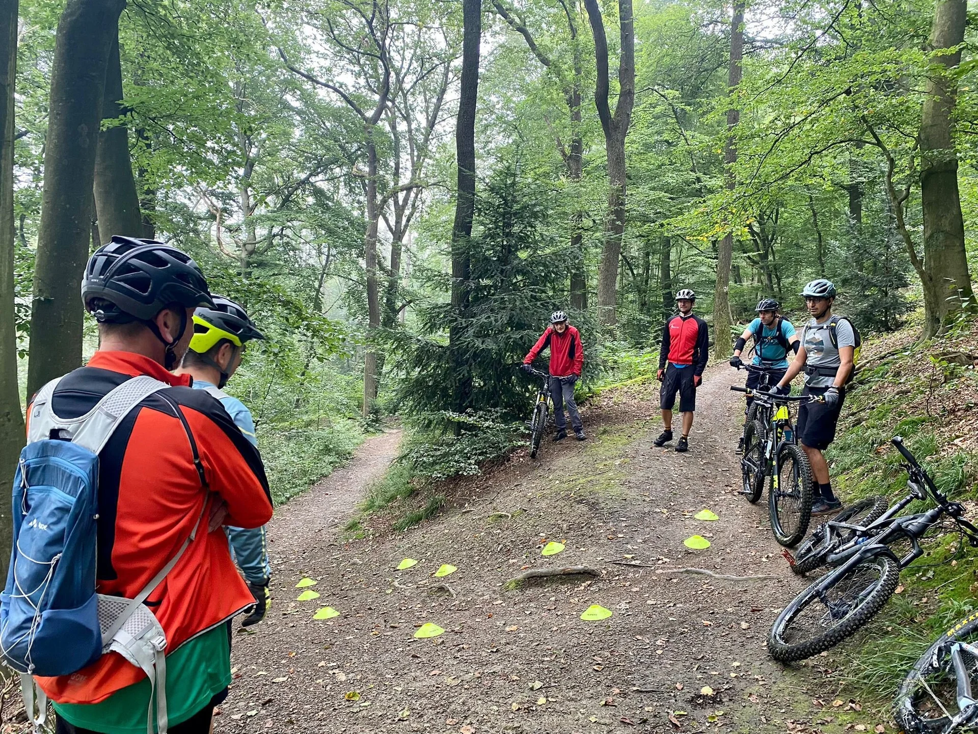 Mehrere Personen mit Mountainbikes bei einem Übungstraining auf einem Waldweg mit Markierungshütchen. | © DAV Dortmund